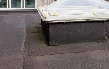 disadvantages of Moneymore flat roofs