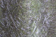 Moneymore fibreglass roof work