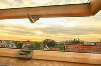 rated Moneymore roof window companies
